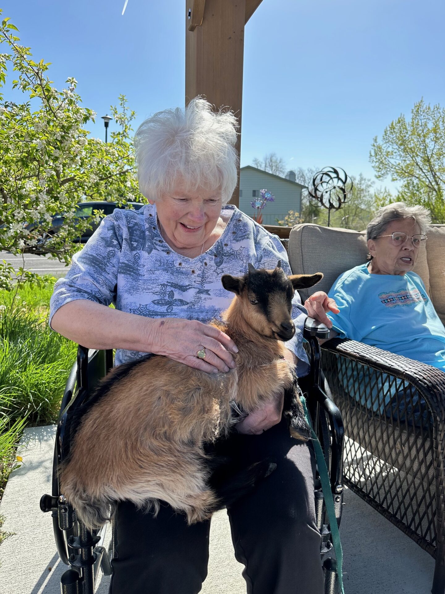 Pet Therapy Visit With A Friendly Dog